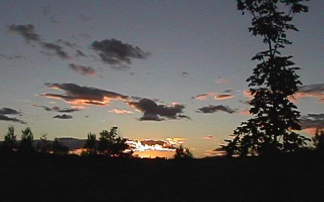 The Bradford House B&B