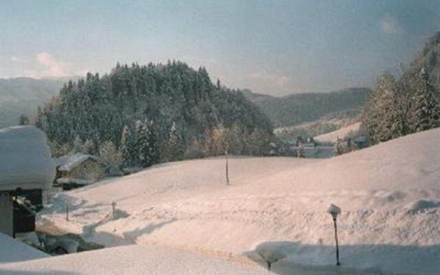 Sport-Alpin-Wohnung-5