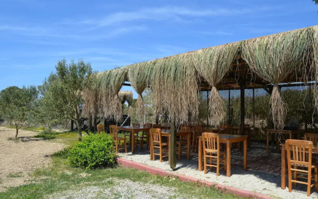 Le Petit Hotel ve Bağ Evi