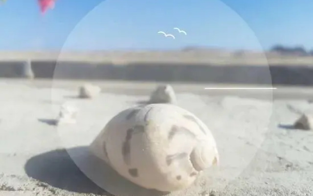 Pingtan Yueshang Homestay