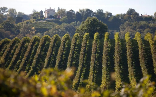 Azienda Agrituristica Calronche