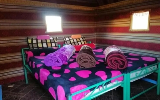 Wadi rum echo camp