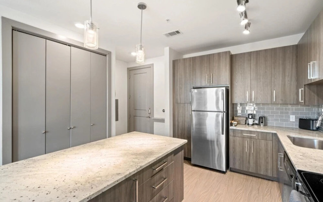 Arlington Upscale 2BD 2BA Apartment