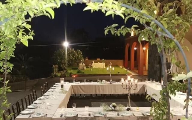 Il Sentiero degli Ulivi