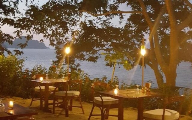 The Alternative Beach Cottages
