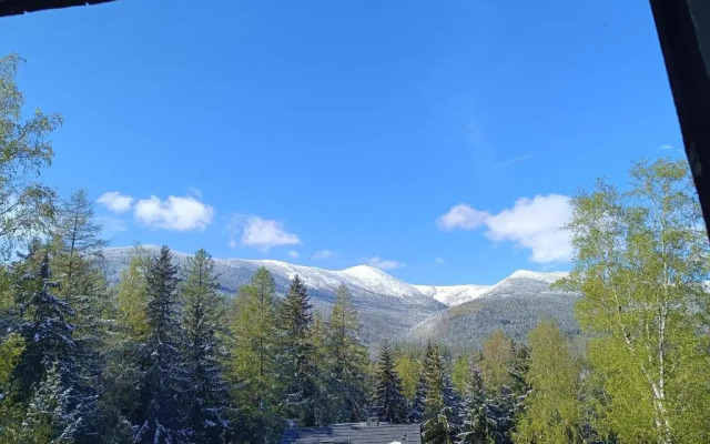 Willa Alaska