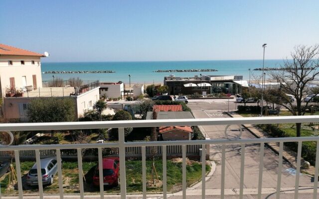 B&B Galletto