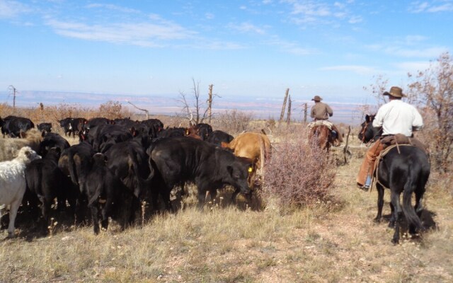 Grand Canyon Ranch & Outfitters