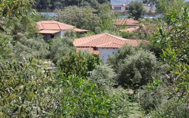 Nikos 8