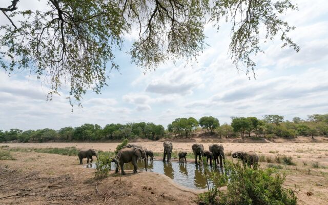 Simbavati River Lodge