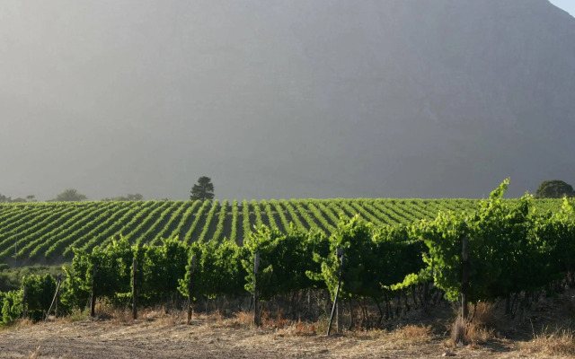 Boschendal Farm Estate