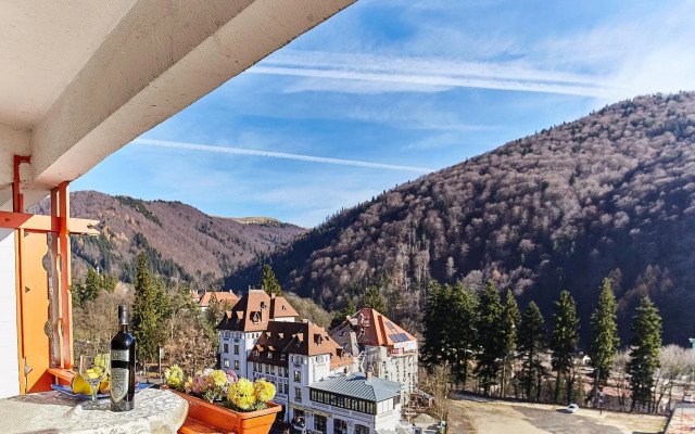 Hotel Sinaia