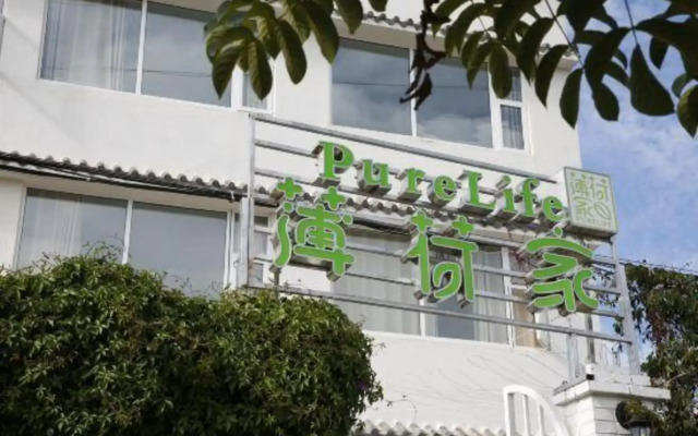 Pure Life Hostel