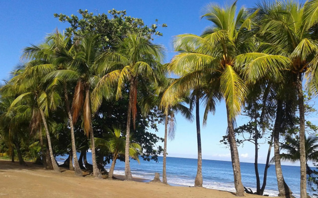 Au Domaine Des Bougainvilliers