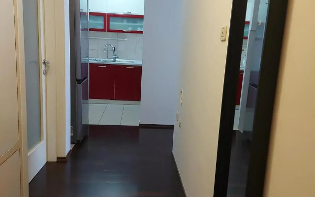 Big cozy apartment Ivan