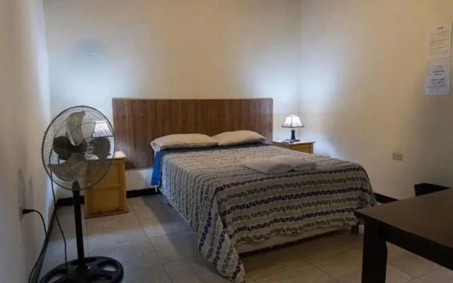 Wild Olive Guest House