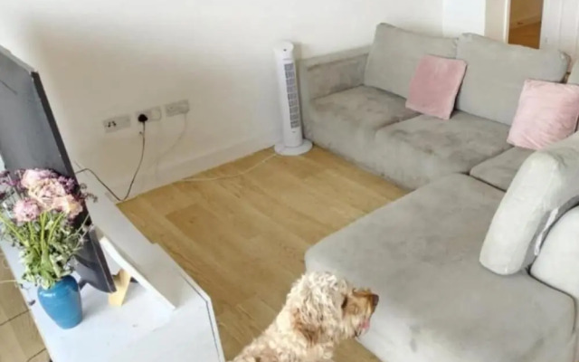 Stylish London Apartment Close to O2 and Riverside