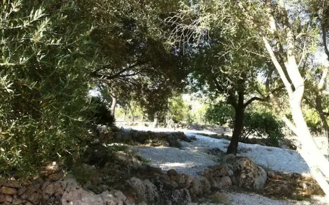 GINIUSA