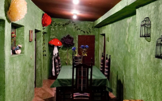 Wonderland Hostel