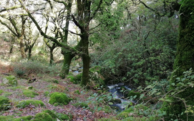 Casa Quercus con piscina privada