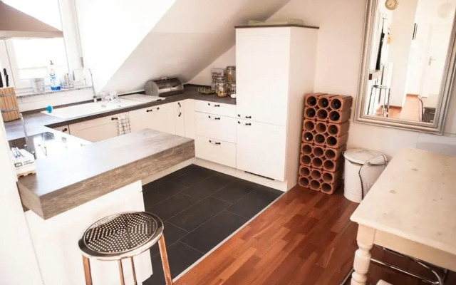 Deluxe City Apartment