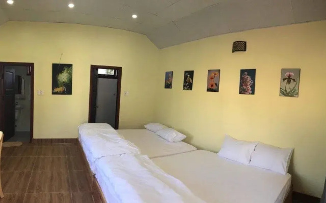 Tomorrow Homestay Da Lat