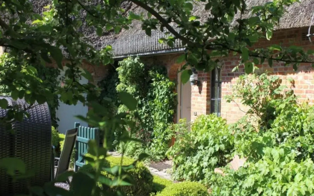 Reethus WE 2, Föhrkiek