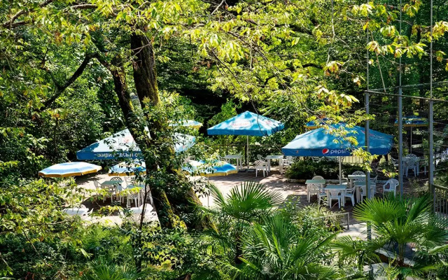 "Ателика Сокол" и Вилла "Дивный мир Сокол"