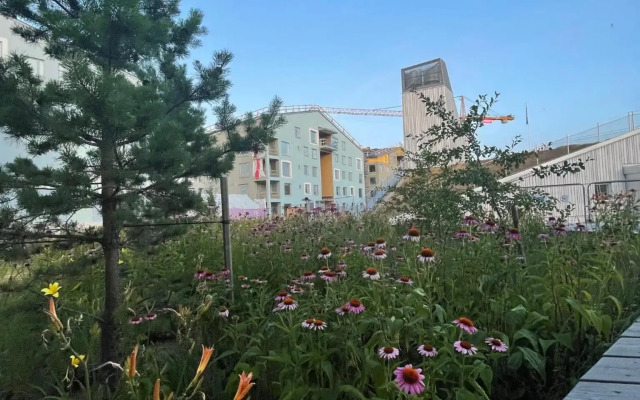 The Seaside Apartment