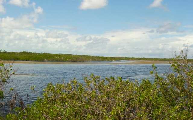 Buttonwood Reserve by Eleuthera Vacation Rentals
