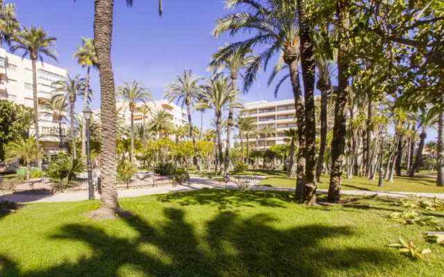 Torrevieja Experience El Palmeral