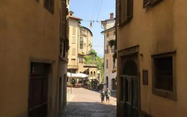 Le Muravenete