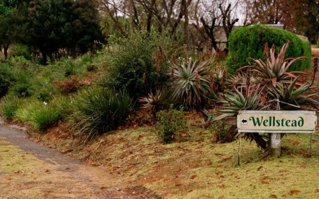 Wellstead in Champagne Valley