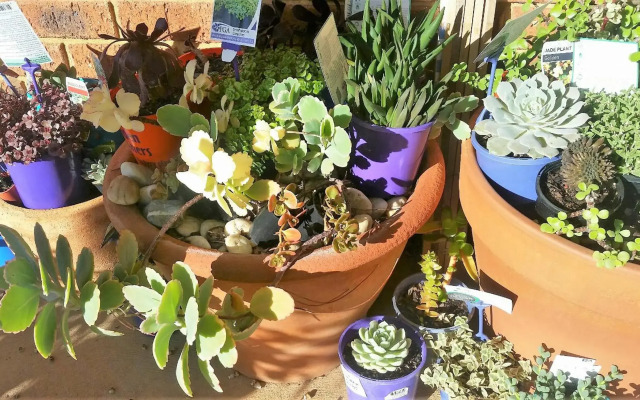 Quest Yelverton Kalgoorlie