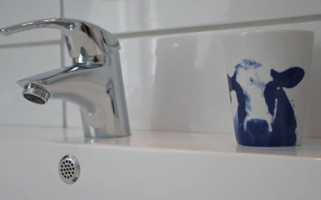 Modern Apartment Near Town Center in Klimmen