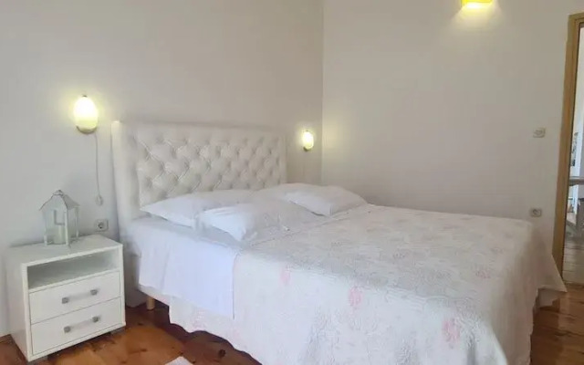 Apartment Mladina