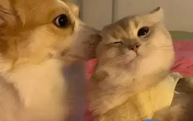 Lavande Hotel (Changsha Songya Lake Wanjiali North Branch)