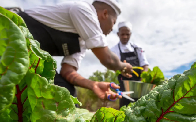 Shamwari Long Lee Manor