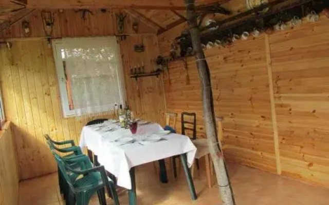 Casa de vacanta Vidrighin