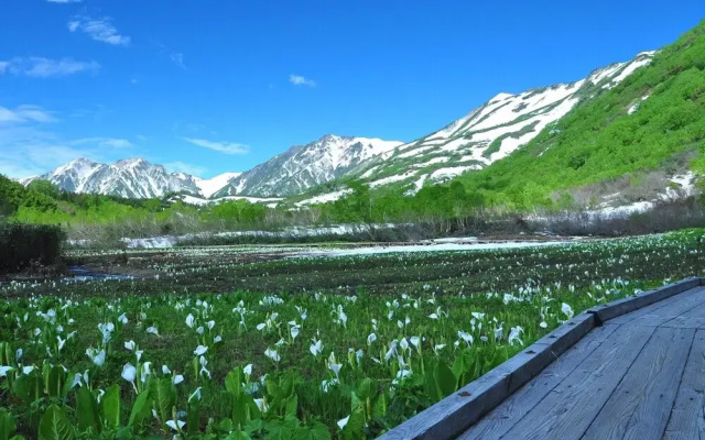 UNPLAN Village Hakuba – Hostel