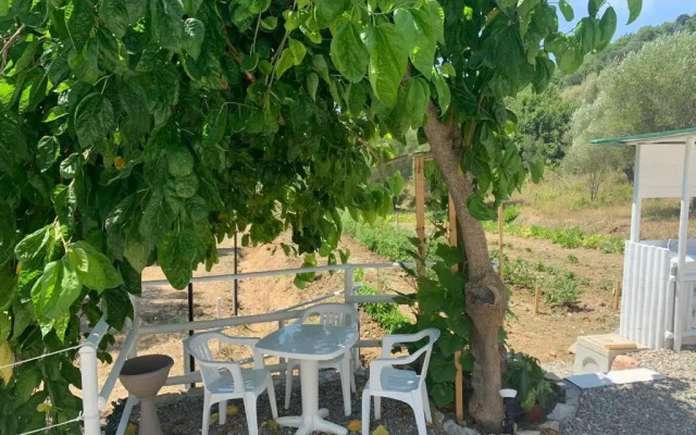 Palinuro Casa Vacanza Melita