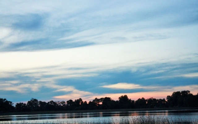 Hippo Island Okavango Delta