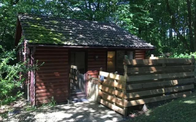Wren 21-Hot Tub-Woodland Lodges-Tenby-Camarthenshire