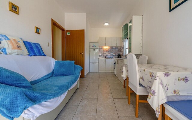 Awesome Apartment in Novalja With Wifi and 1 Bedrooms