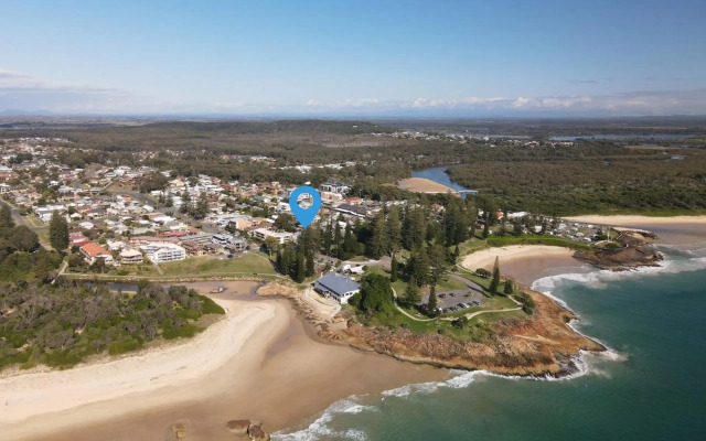 Travellers Palms 7 South West Rocks