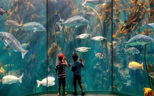 The Waves Crest Bloubergstrand