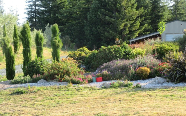 Redwood Valley B & B