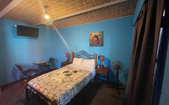 Casa Jardín Reforma