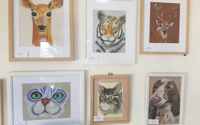 Finley Palm Motor Inn