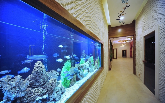 Azura Park Residence